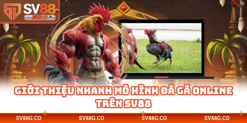 Giới thiệu nhanh mô hình đá gà online trên SV88