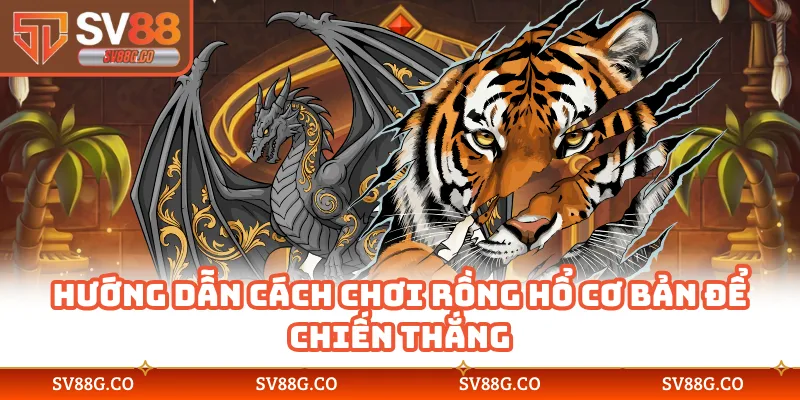 Hướng dẫn cách chơi Rồng Hổ cơ bản để chiến thắng