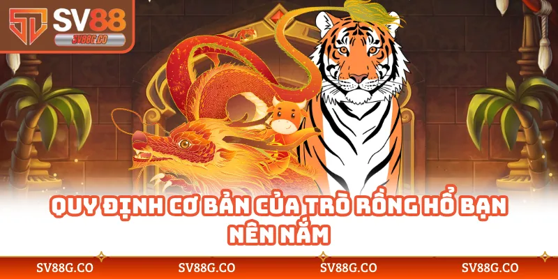 Quy định cơ bản của trò Rồng Hổ bạn nên nắm